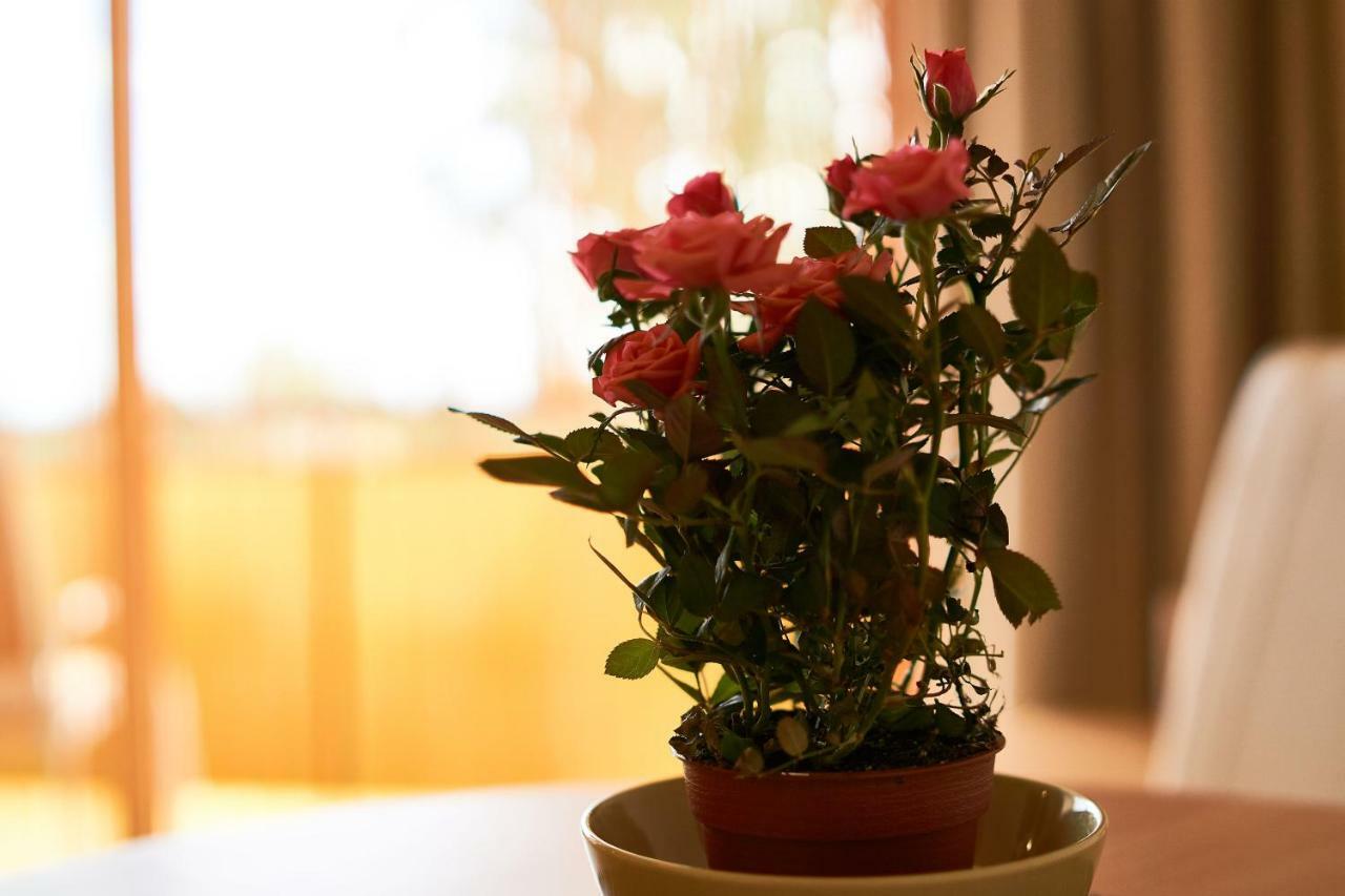 Seeyou Apartment Balatonfuered ภายนอก รูปภาพ